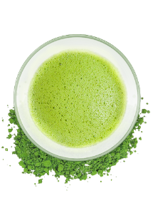 Matcha